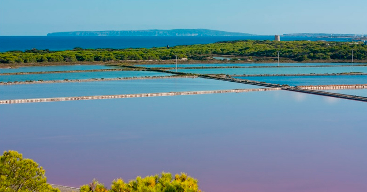 parque natural de ses salines