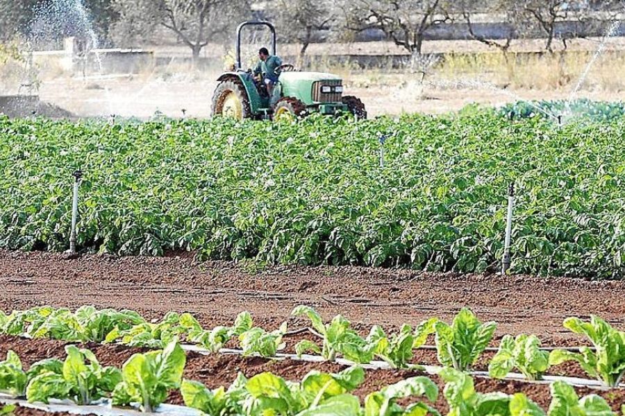 Organic farming