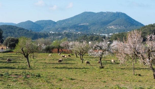 Sa Serra Grossa in BTT