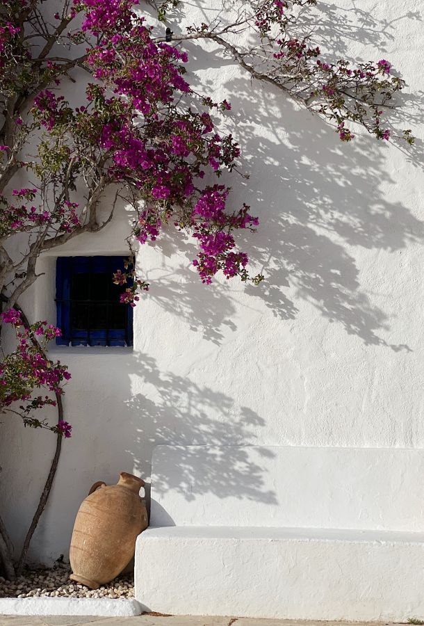 Campos de Ibiza