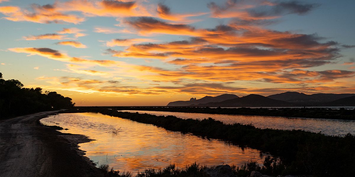 Sustainable Ibiza: how to enjoy the island responsibly