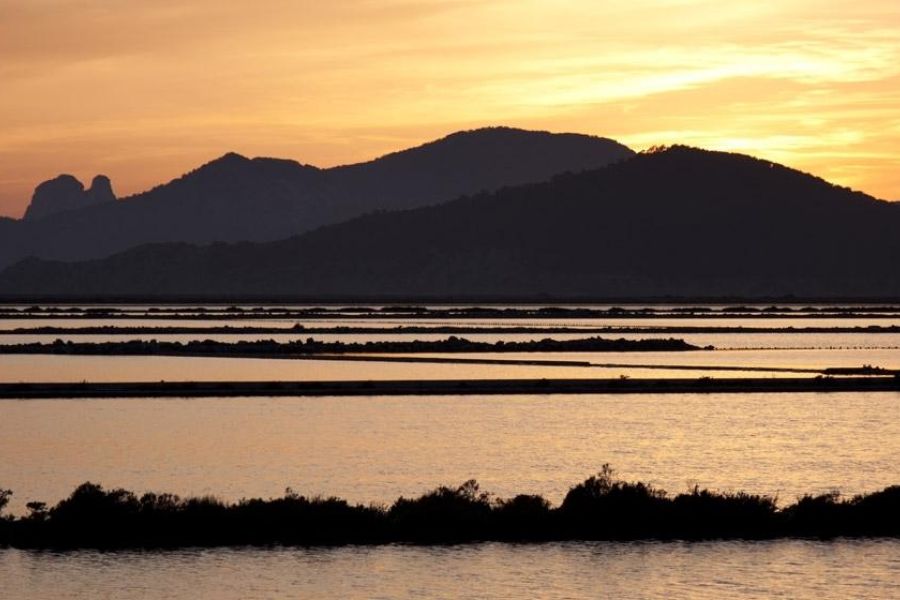 Ses Salines Natural Park
